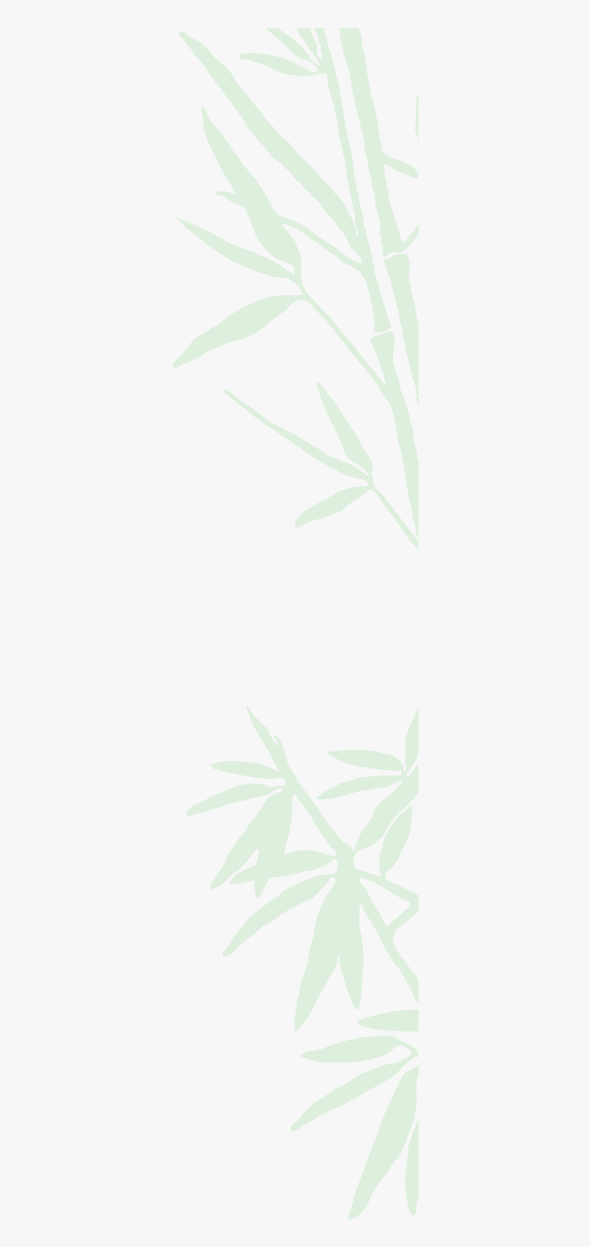 Bamboo Background Right - Darkness, HD Png Download