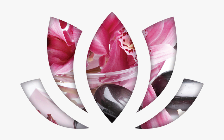 Hotel International Sinaia - Crystal, HD Png Download