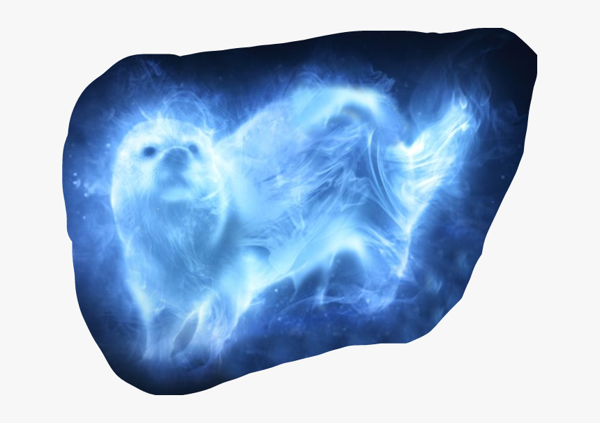 #harrypotter #hermione #patronus #otter - Harry Potter Otter Patronus, HD Png Download