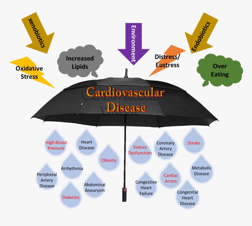 Cvd Umbrella Coronary Artery Disease Umbrella, HD Png Download