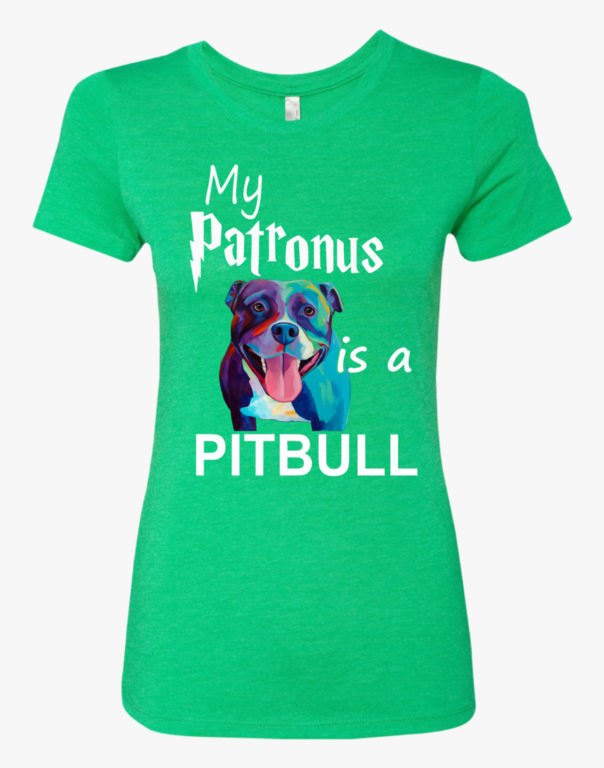 My Patronus Is A Pitbull Next Level Ladies Triblend - Mens Christmas Workout Shirts, HD Png Download