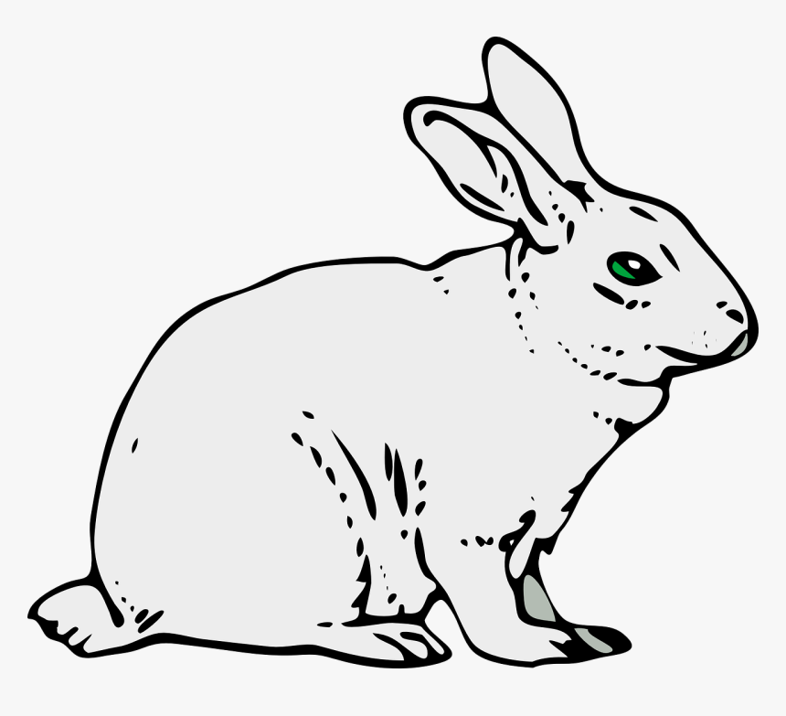 Rabbit Animal Mammal Free Picture - Clip Art Of Rabbit, HD Png Download