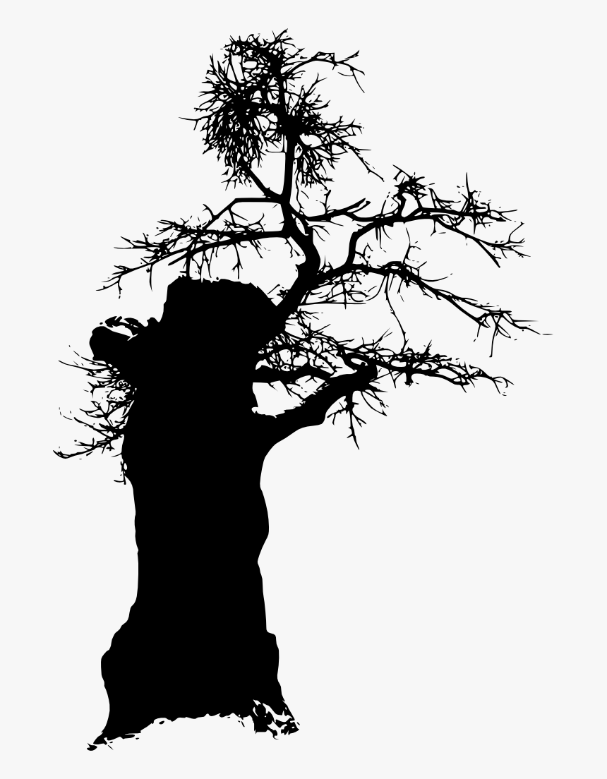 Tree Silhouette - Silhouette, HD Png Download