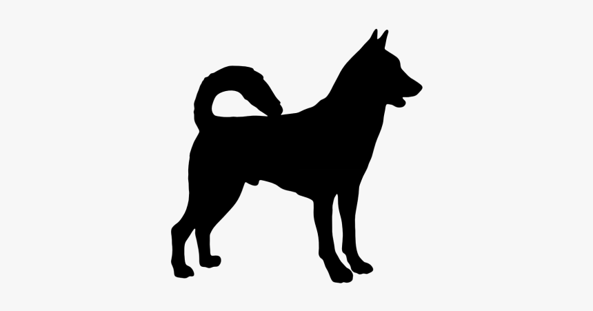 Canaan Dog Working Dog Dog Breed Animal Clip Art - Bull Terrier Vector, HD Png Download