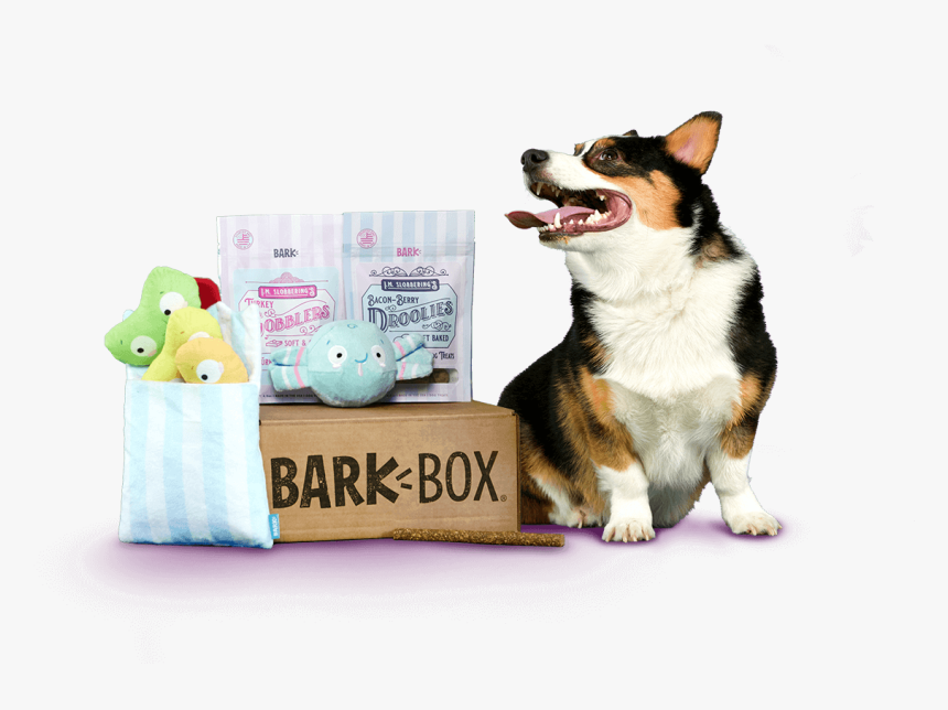 0 Replies 0 Retweets 0 Likes - Barkbox, HD Png Download