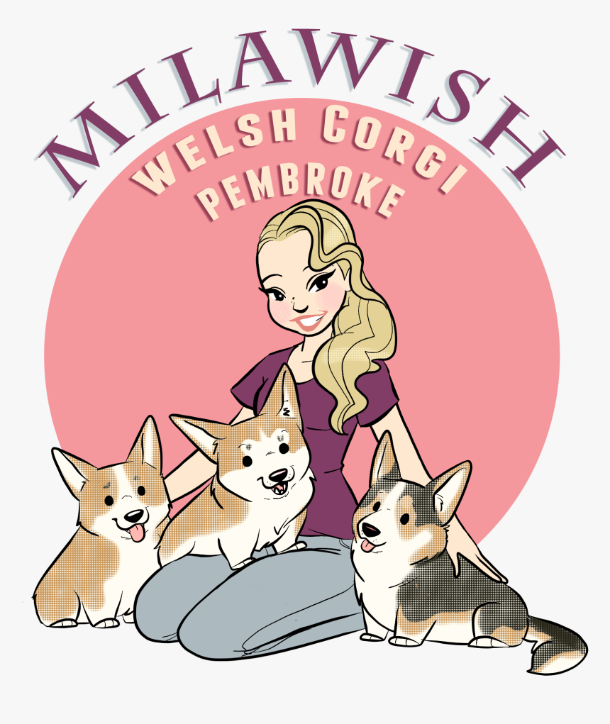 Pembroke Welsh Corgi, HD Png Download