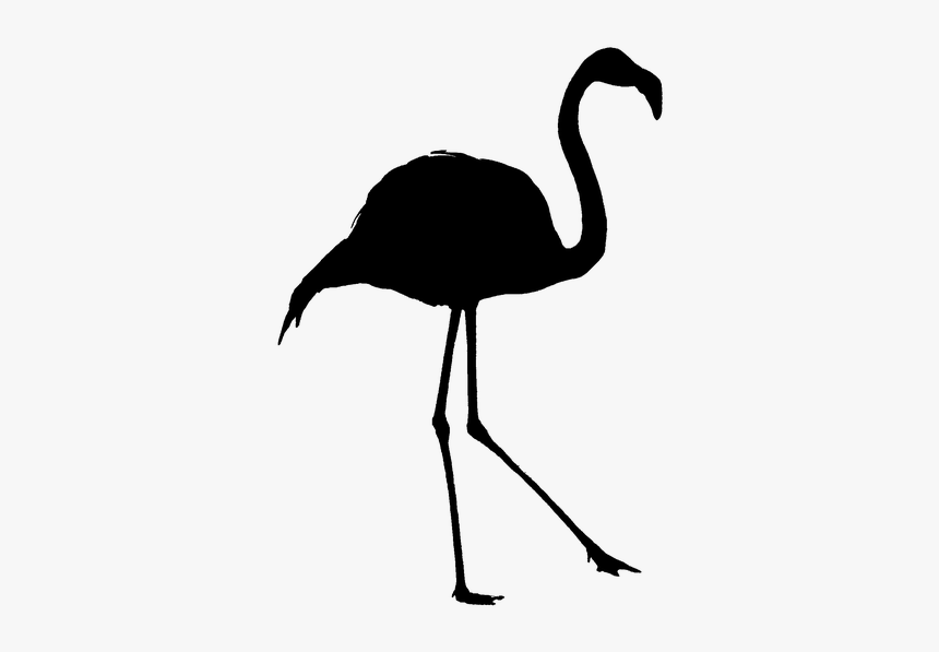 Silhouette, Flamingo, Outline, Bird, Shadow - Silhouettes Of Animals, HD Png Download