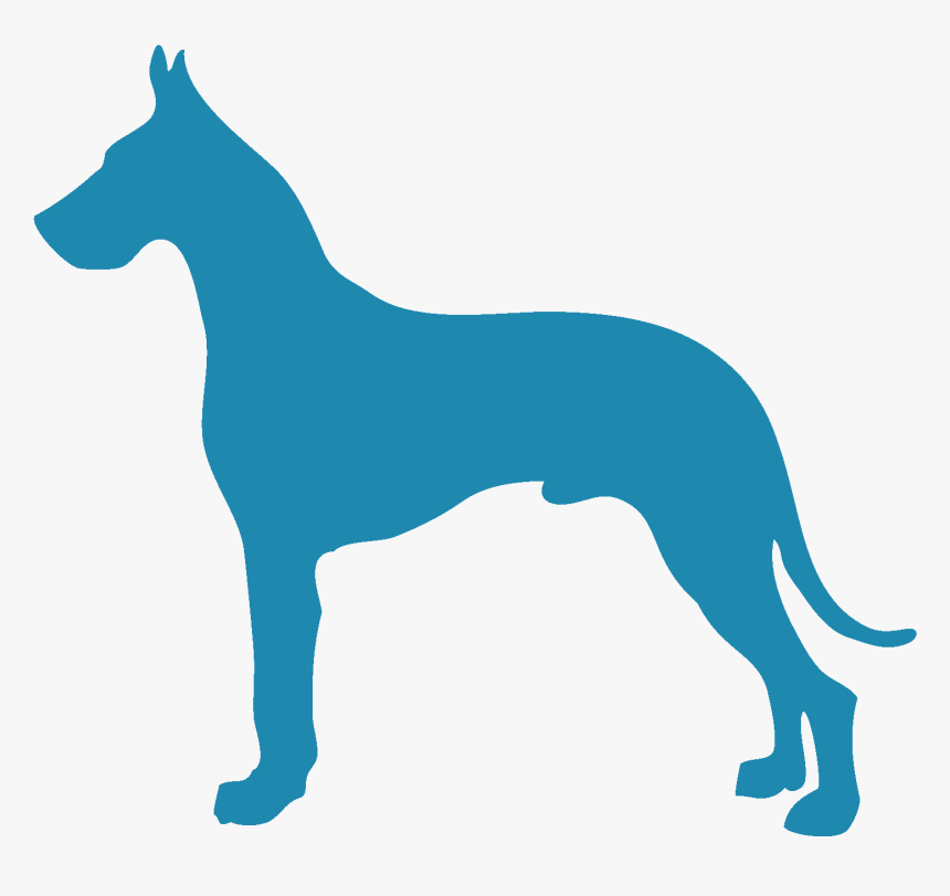 Great Dane, HD Png Download , Transparent Png Image - PNGitem