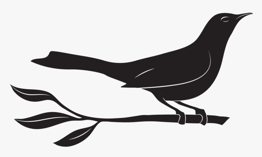 Junebaby Logo, HD Png Download