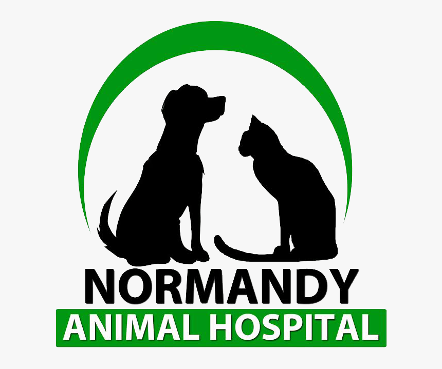 Normandy Animal Hospital - Dog Yawns, HD Png Download