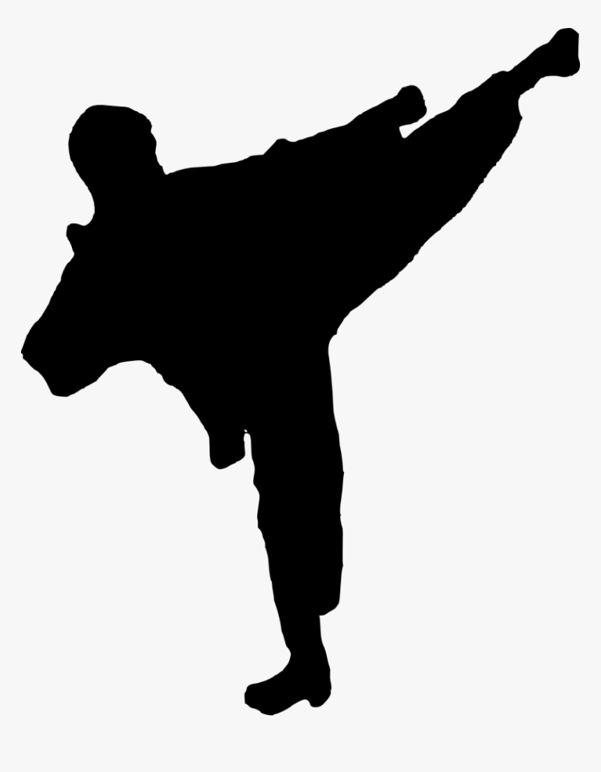 Karate Silhouette Png - Kung Fu Vector Png, Transparent Png