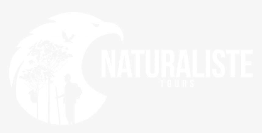 Mod 1.12 2 Natural, HD Png Download