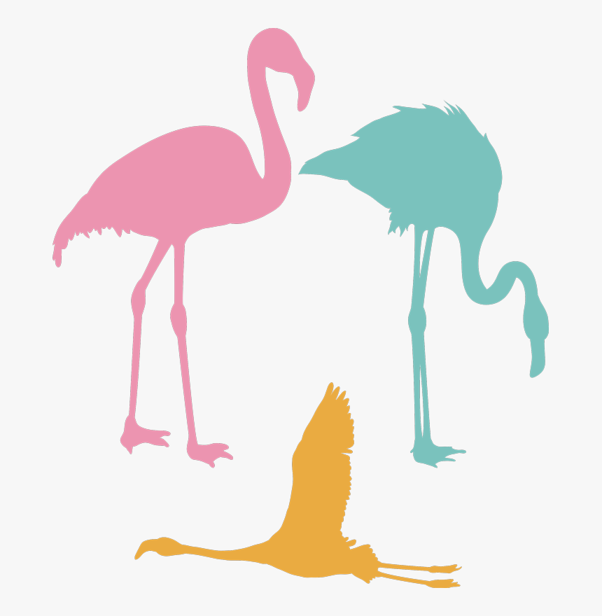 Transparent Flamingo Silhouette Png - Flamenco Volando Png, Png Download