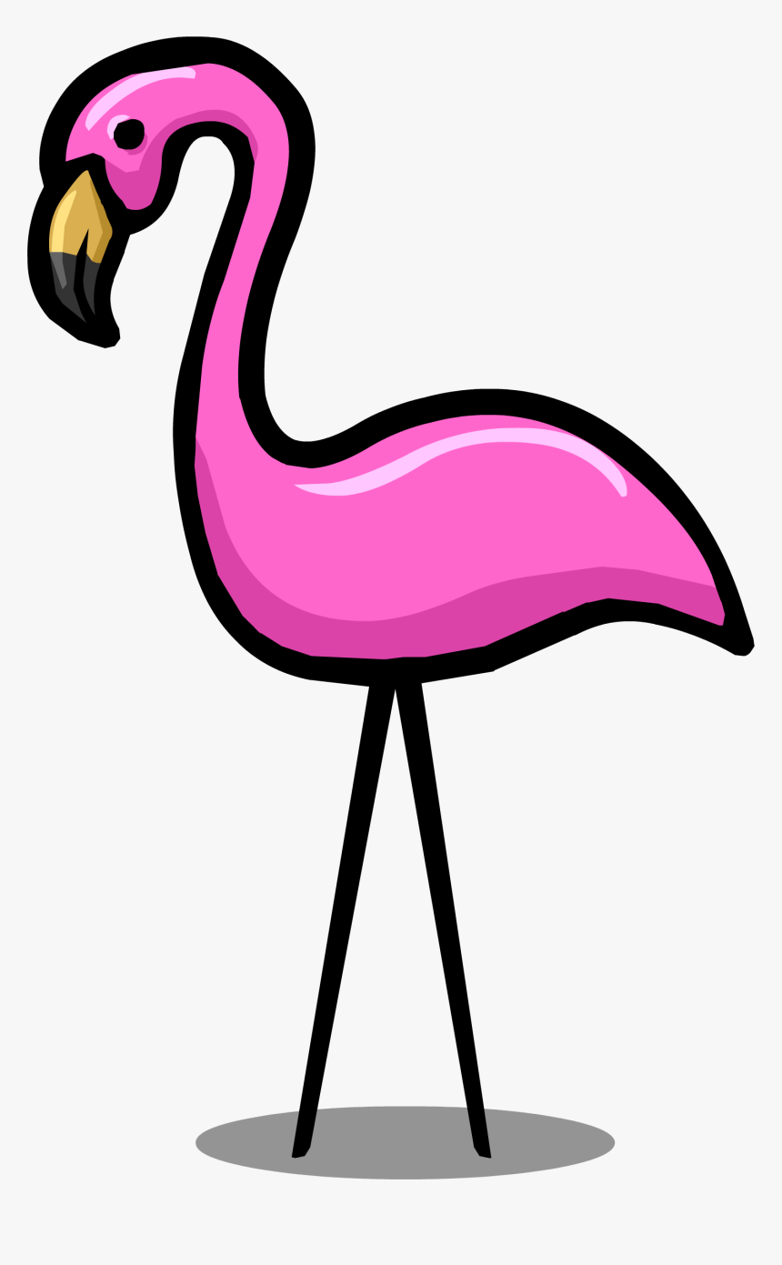 Image - Transparent Background Flamingo Transparent, HD Png Download
