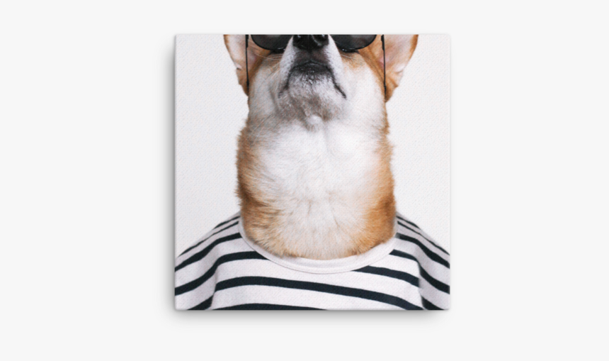 Mensweardog Keep Your Head Up Canvas - Dog, HD Png Download