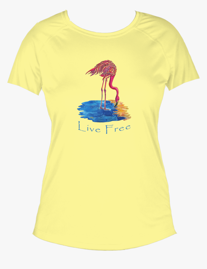 Front Of Shirt - Stork, HD Png Download