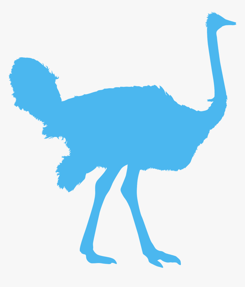 Ostrich Stencil, HD Png Download