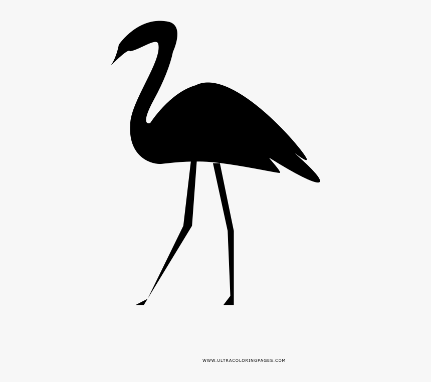 Flamingo Coloring Page - Water Bird, HD Png Download