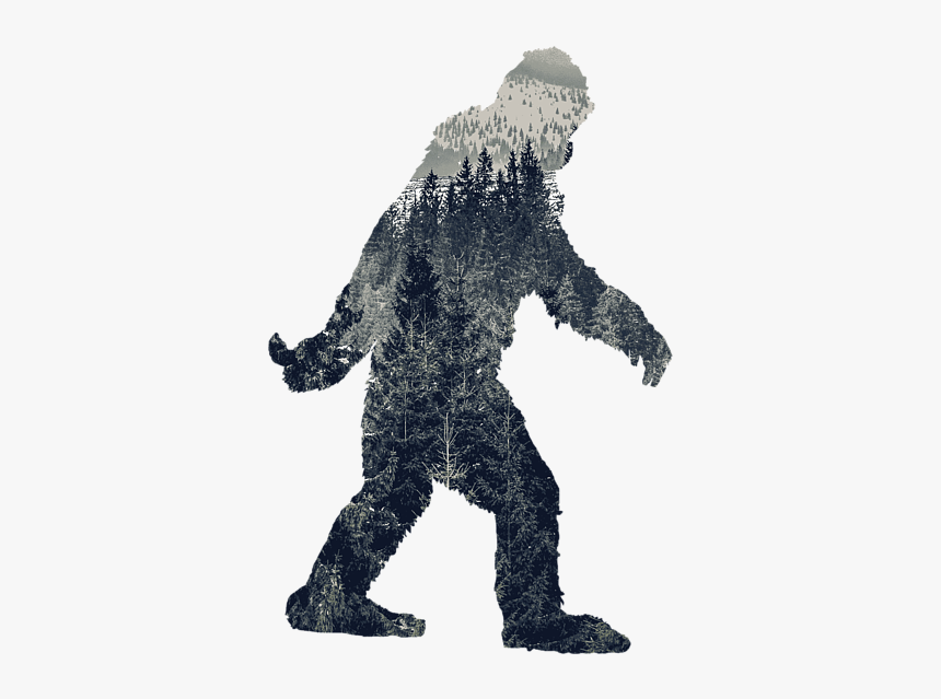 Do You Believe In Bigfoot, HD Png Download