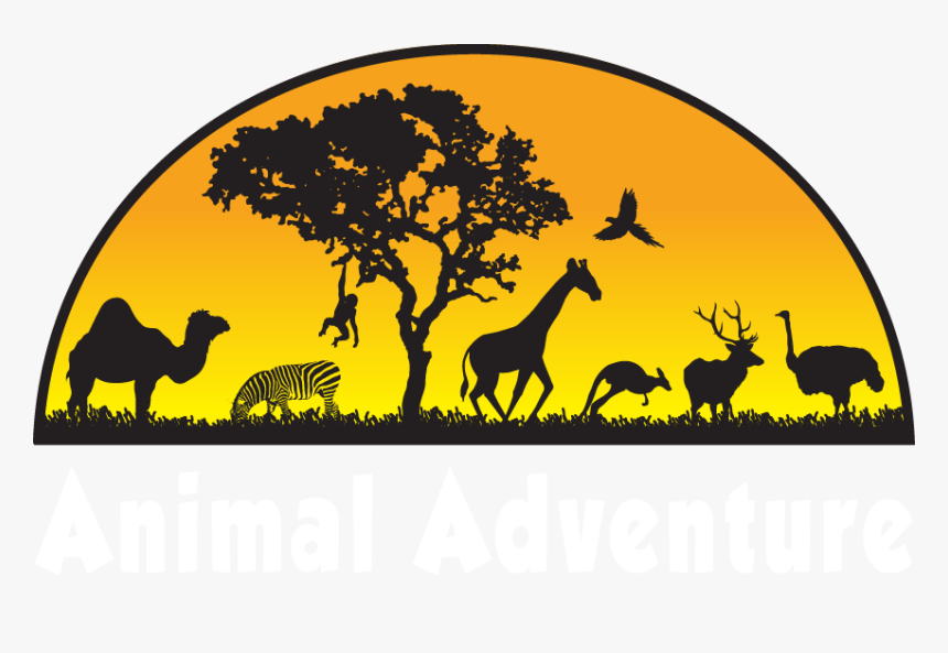 Animal Adventure Park - Animal Adventure, HD Png Download