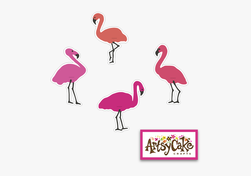 Greater Flamingo, HD Png Download