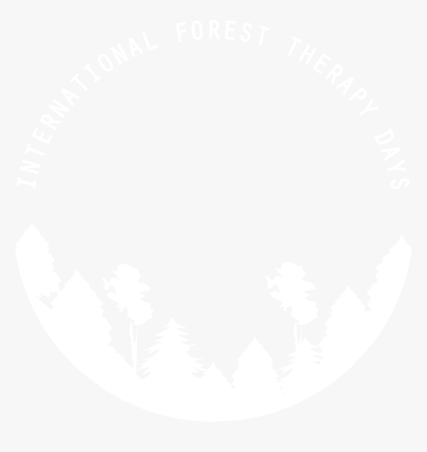 International Forest Products Corporation, HD Png Download