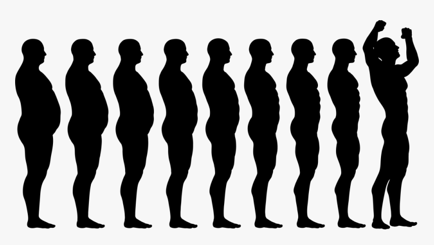 Before And After Silhouettes - Before And After Weight Loss, HD Png Download