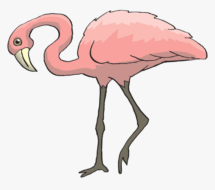 Pink Bird Flamingo Free Picture - Clip Art Animals With Legs, HD Png Download