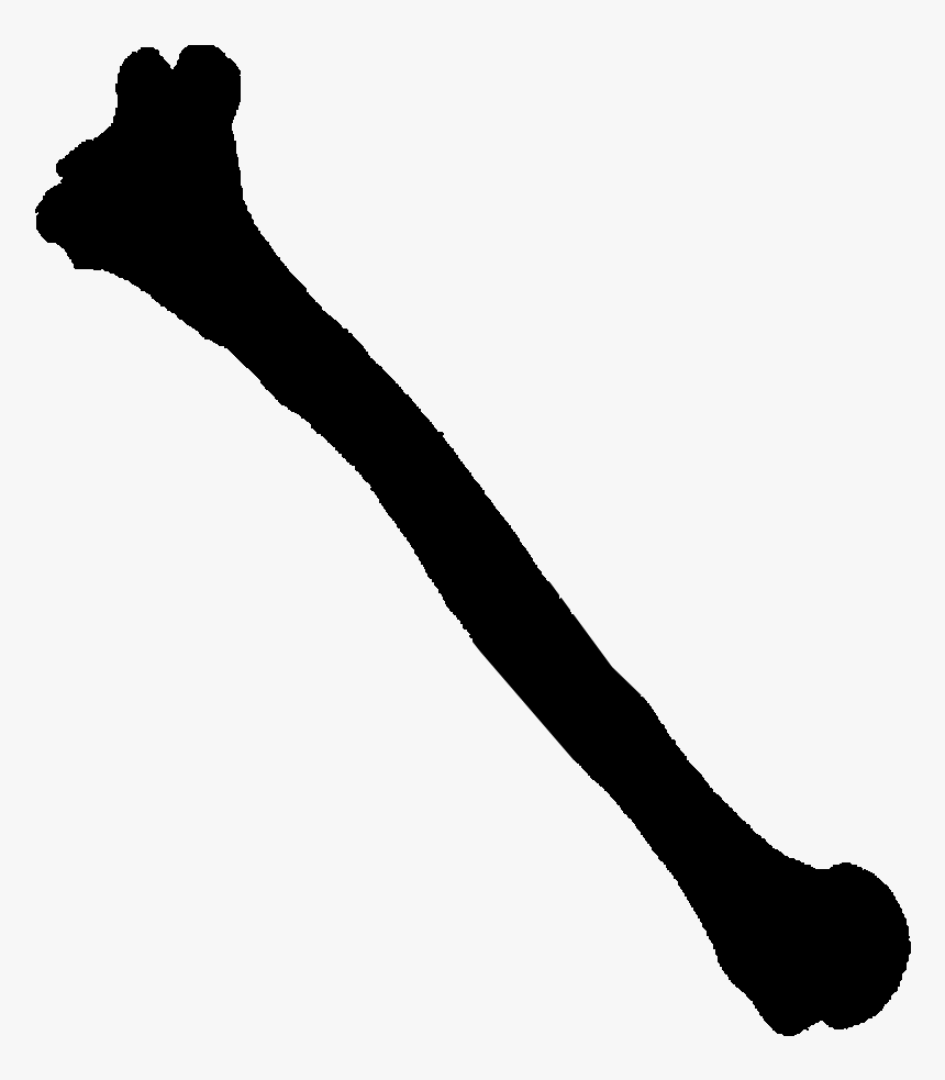 A Conch To Represent Shells - Bones Silhouette, HD Png Download
