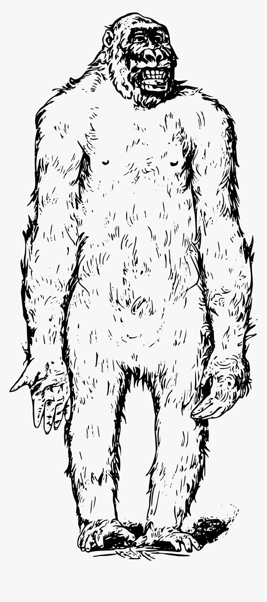Bigfoot Clipart Vector - Ape, HD Png Download
