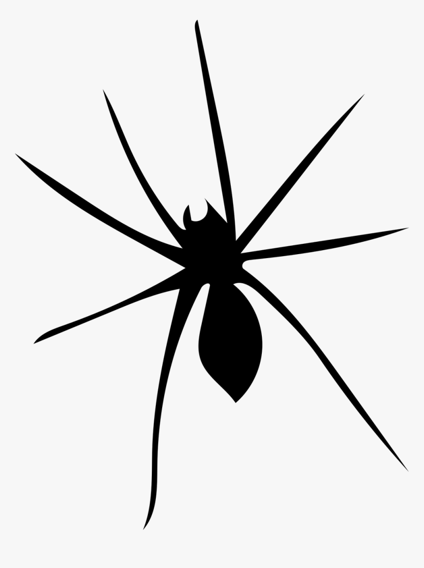 Spider Arachnophobia Arachnid Free Picture - Widow Spider, HD Png Download
