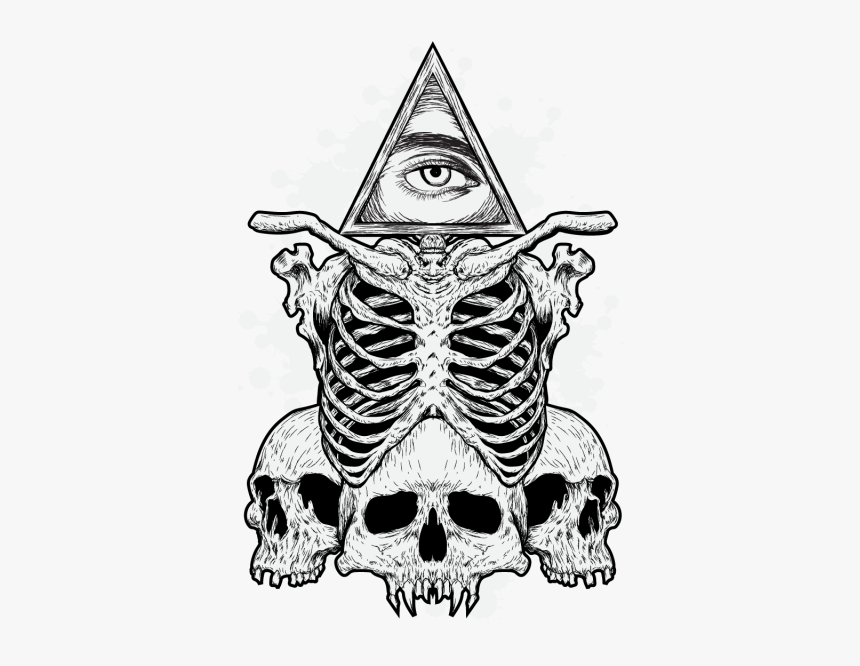 Vector Bone Illustration - Skull, HD Png Download