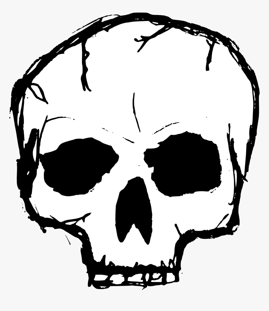 Skull - Skull Drawing Png, Transparent Png