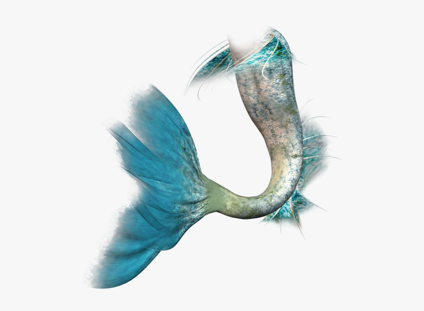 Ariel Mermaid Siren Clip Art - Mermaid Siren Transparent Background, HD Png Download