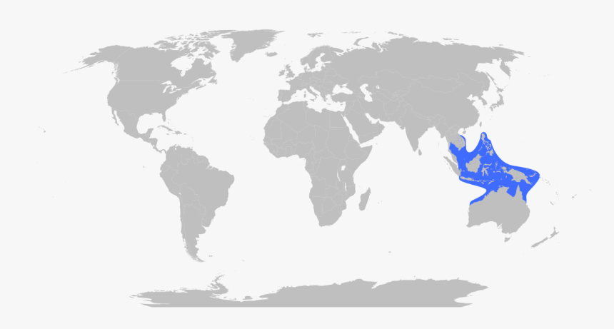 Sea Wasp Or Box Jellyfish Range Silhouette Cameo, Map - South Korea And Pakistan Relations, HD Png Download