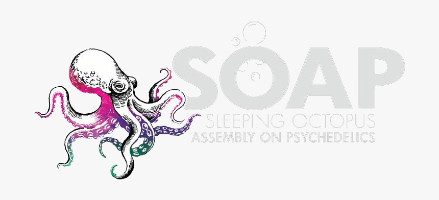 Sleeping Octopus, HD Png Download