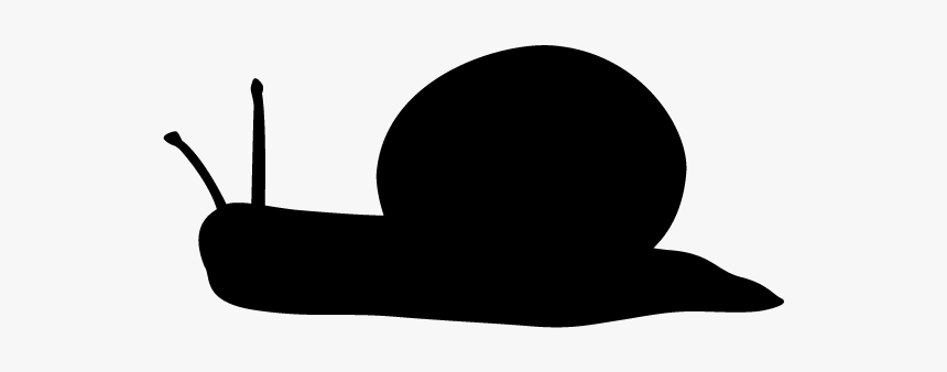Snail, HD Png Download