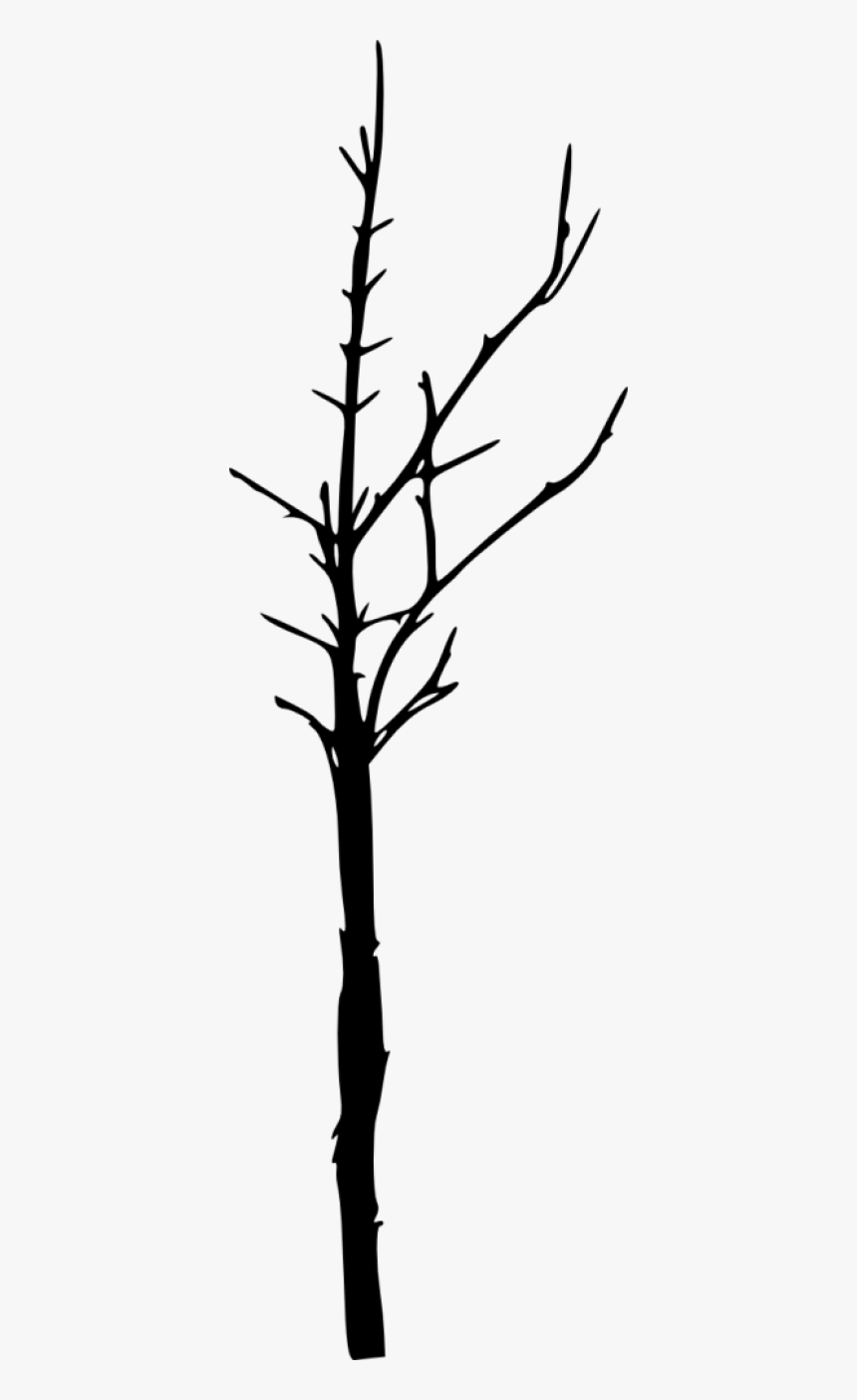 Silhouette, HD Png Download