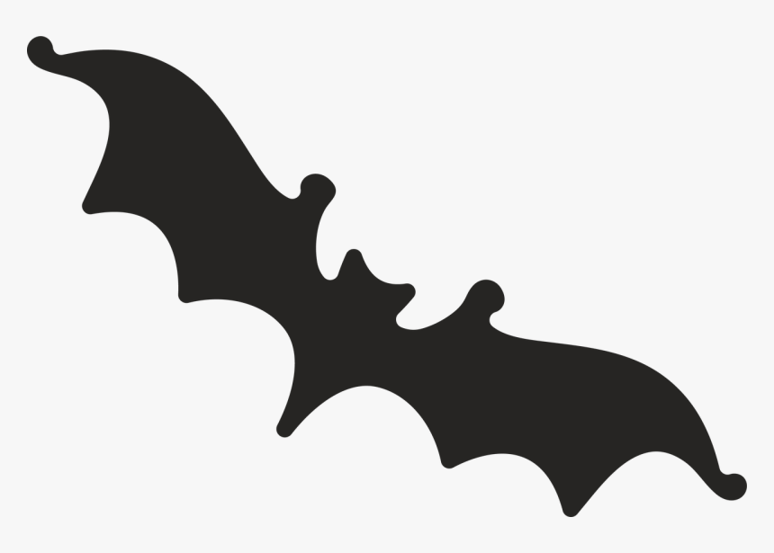 Bat - Illustration, HD Png Download