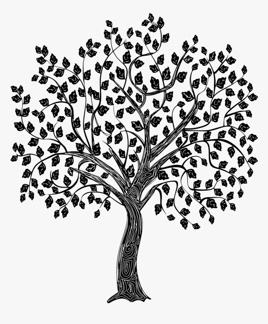 Tree Branch Silhouette Lineart - Micro Creche La Foret Enchantée Logo, HD Png Download