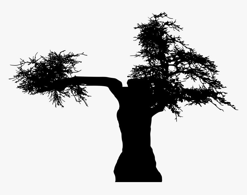 Branch Silhouette Download Tree Computer File - Silhouette, HD Png Download