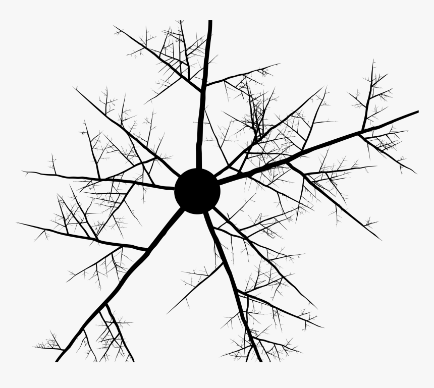 Abstract Branches Clip Arts - Abstract Point And Line Art, HD Png Download