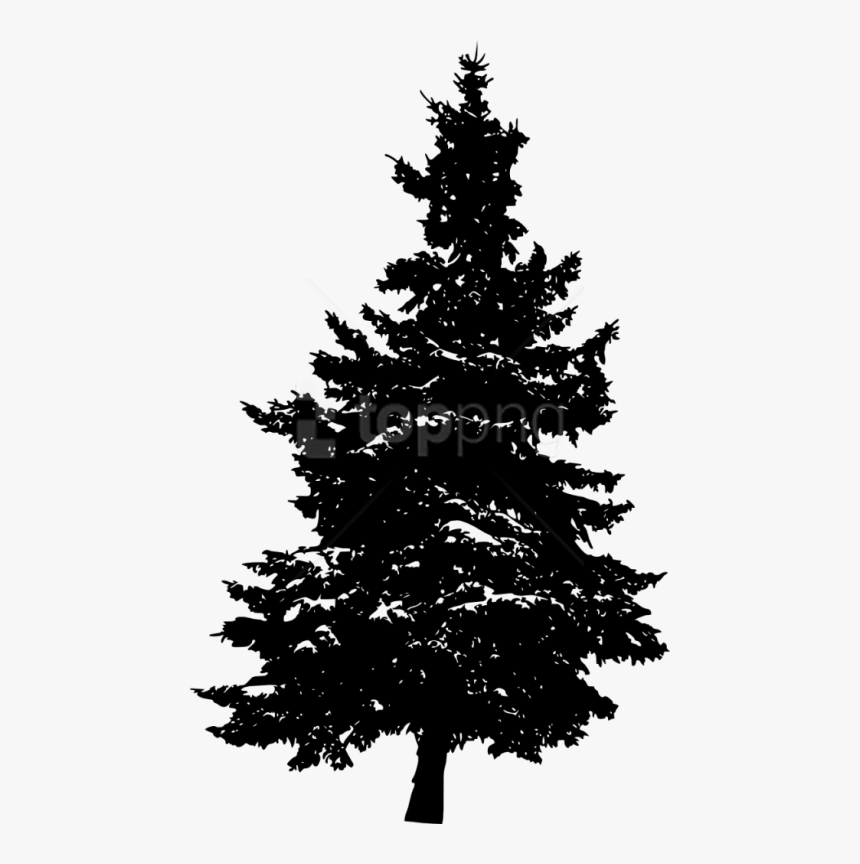 Pine Tree Silhouette Transparent Background, HD Png Download