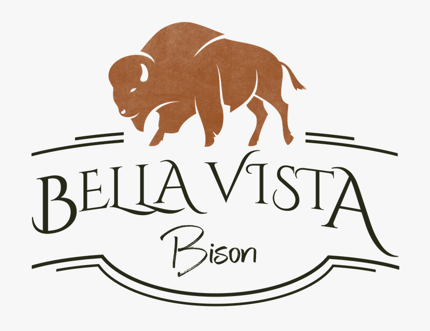 Bella Vista Bison Logo With Bison Over Text - Bison Logo, HD Png Download