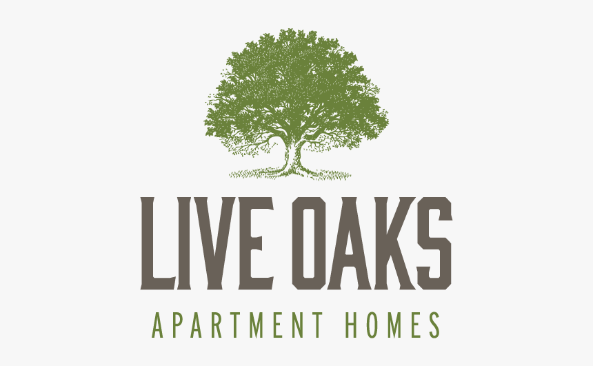 Live Oaks Logo - Oak, HD Png Download