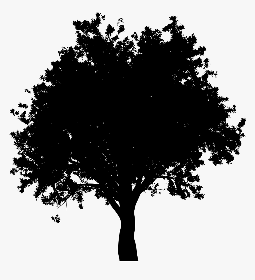 Download Png Oak Tree Black And White Arbol Vector Silueta Png
