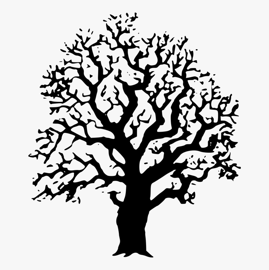 Transparent Live Oak Tree Png - Black And White Tree Image Clipart, Png Download