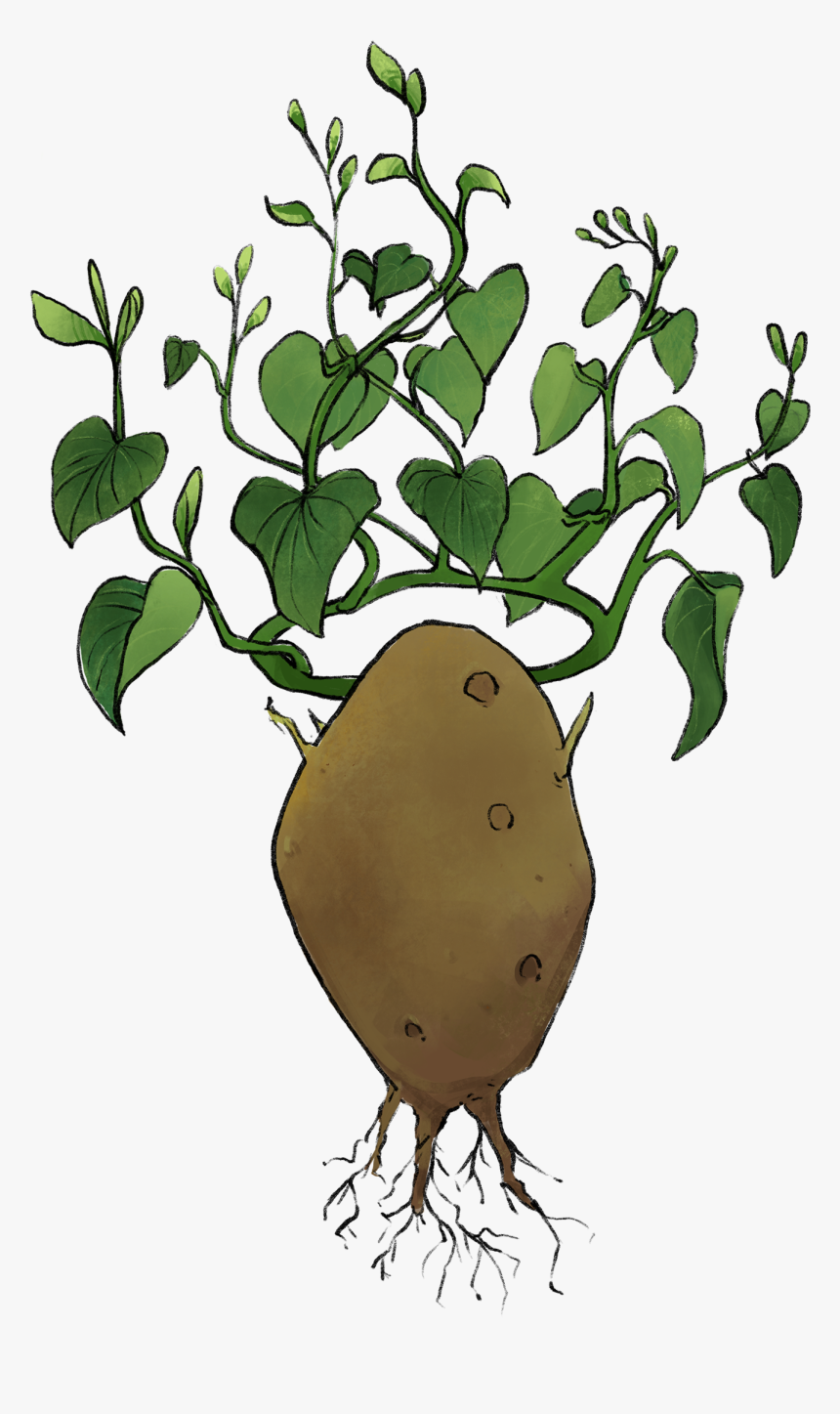 Transparent Leaf Crown Png, Png Download