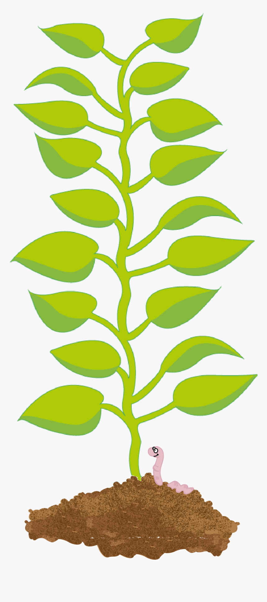Illustration Of A Potato Plant S Leaves Growing From - Png Clipart Potato Leaf Png, Transparent Png