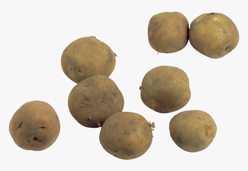 Potato, HD Png Download
